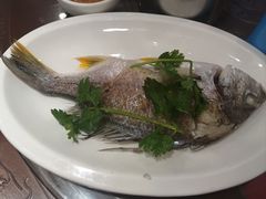 -长平肥姐白粥·海鲜打冷