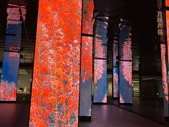 -中国湿地博物馆