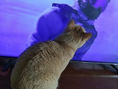 -怡海公园(桂城街道)