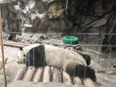 -秦皇岛野生动物园