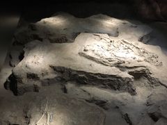 -侵华日军南京大屠杀遇难同胞纪念馆