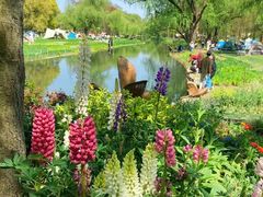 -上海共青森林公园