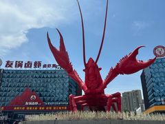-虾皇(龙虾城旗舰店)