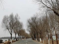 -丁香湖公园