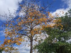 -飞来湖湿地公园