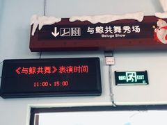 -芜湖新华联大白鲸海洋公园