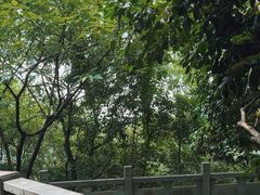 -杭州半山国家森林公园