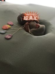 -西瓜庄园儿童摄影