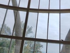 -蜈支洲岛珊瑚酒店临海阁中餐厅