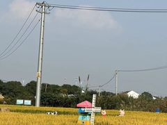 -莲花岛景区
