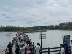 -溱湖国家湿地公园