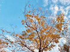 -河南省黄河迎宾馆