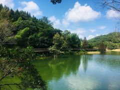 -梁野山景区