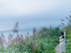 -东极岛景区