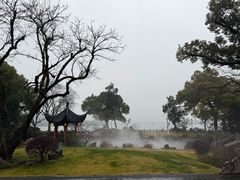 -杭州西湖柳莺里酒店