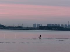 -丁香湖公园