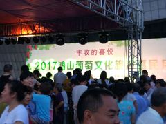 -中华赏石园