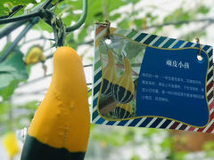 -光明农场大观园