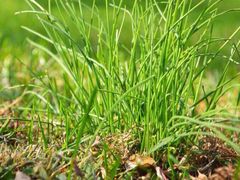 银兴菲林国际影城-万达影城(银兴菲林店)