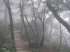 -洛阳白云山景区