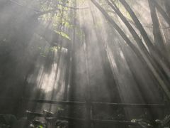 -青青世界