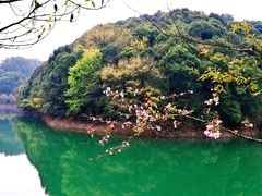 -仙岛湖旅游风景区