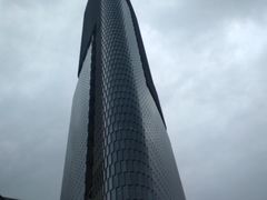 -紫峰大厦