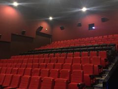 -武汉华夏国际影城(鲁广店)