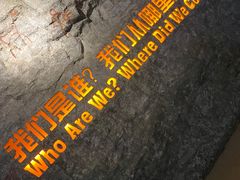 -国家自然博物馆