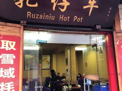 门面-乳仔牛牦牛汤锅 烤羊排(松潘古城店)