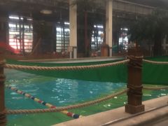 -南宫温泉水世界