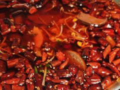 -蜀香格格•剁椒鱼头(龙西店)