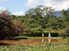 -中国科学院西双版纳热带植物园
