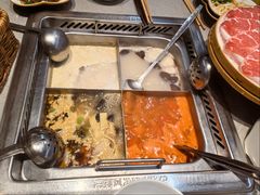 岭南黄猪肚鸡火锅-海底捞火锅(团结桥店)
