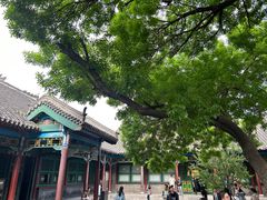 -张学良旧居陈列馆