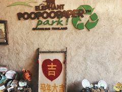 -大象粑粑造纸公园