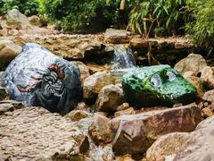 -南海湾森林生态园