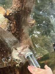 -Zoolung Zoolung动物主题公园(海信广场店)