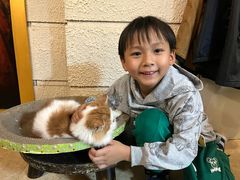 -逃脱反斗城沉浸剧情密室(北京路店)