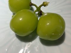 -淮扬府·游园京梦(西安SKP店)