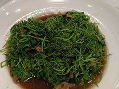 蚌肉金花菜-禧福楼·十五年老店(科技城店)