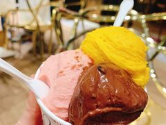 venchi明星冰淇淋-VENCHI 闻绮(北京国贸商城店)