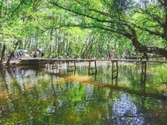 -西溪南古村落景区