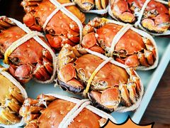 正宗阳澄湖大闸蟹-乡乐园蟹庄·阳澄湖农家乐