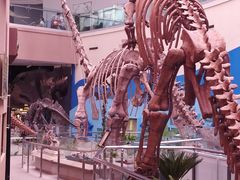 -陕西自然博物馆