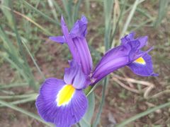 -石家庄市植物园