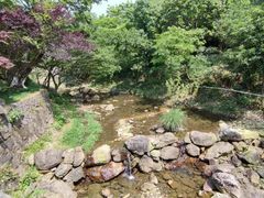 -四明山国家森林公园
