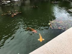 -烟台自然博物馆
