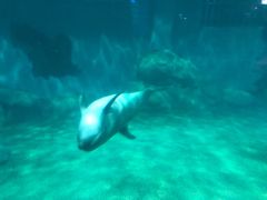 -福州罗源湾海洋世界旅游区