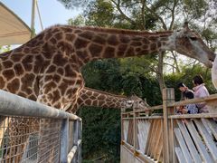 -泉州海丝野生动物世界